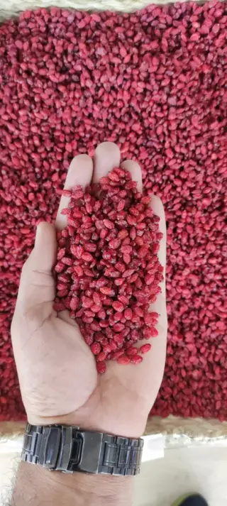 خشکبار قلندری