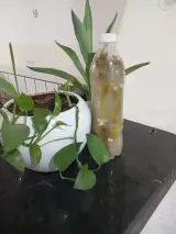محصولات خانگی خیار شور