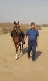 بیمارستان دامپزشکی آبان