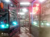 شرکت تندیس آسانسور