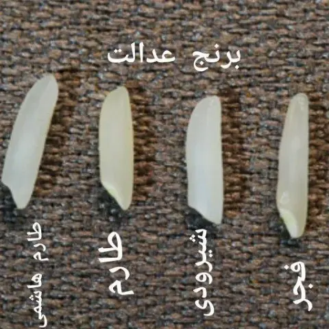برنج فروشی موسوی