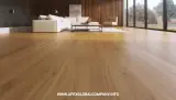 شرکت اپکس گلوبال