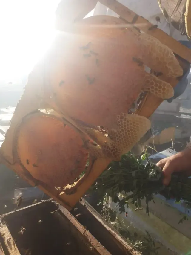 عسل و خشکبار لوکس تبریز