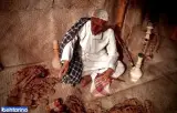 موزه مردم شناسی خلیج فارس