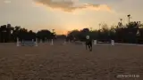 باشگاه سوارکاری آزمون