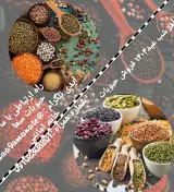 تجارت حبوبات