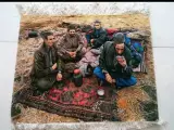 کارگاه قالیبافی محیا