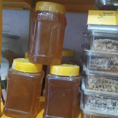 هادی بال