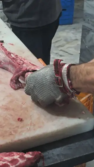 پخش راسته و فیله گوسفندی و گوساله علی
