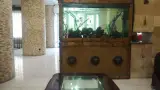 هتل آسمان 2