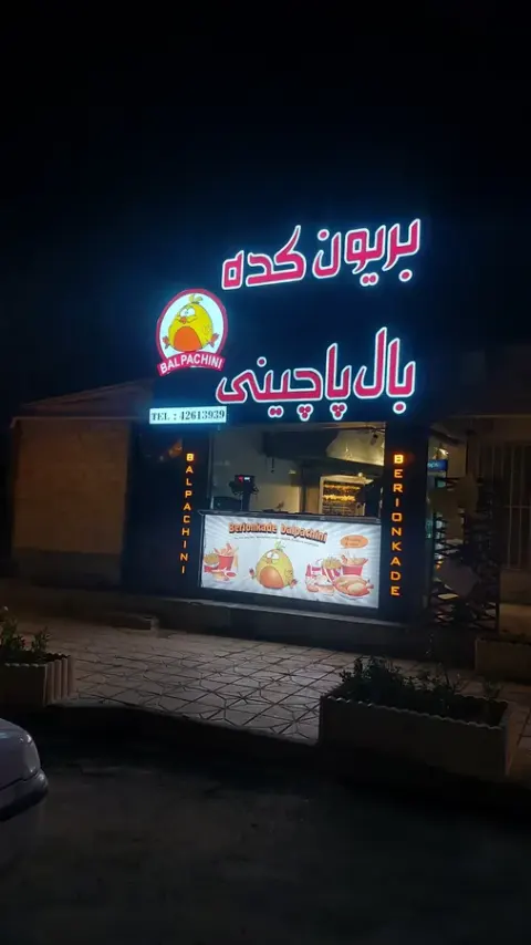 مرکز تخصصی بریونکده بال پاچینی
