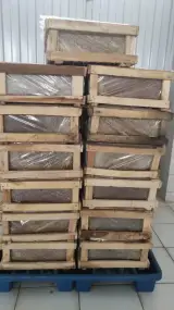 عسل مقدم
