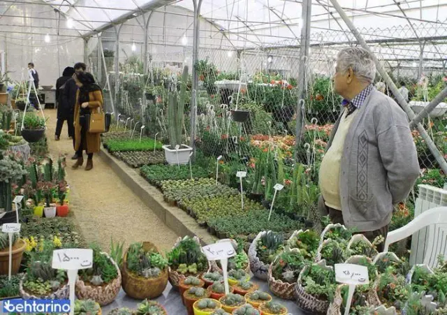 بازار گل و گیاه همدانیان