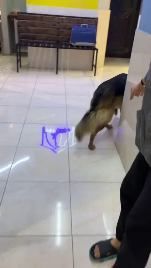 کلینیک دامپزشکی ایران