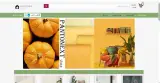 فروشگاه اینترنتی دکوراسیون سیمین ساز