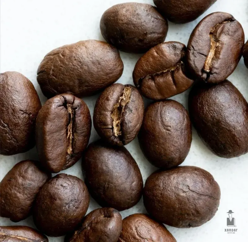 فروشگاه قهوه گش