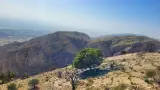 زیبا متل