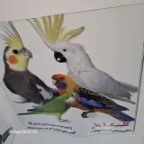 درمانگاه دامپزشکی
