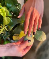 خدمات زیبایی نوری نیل