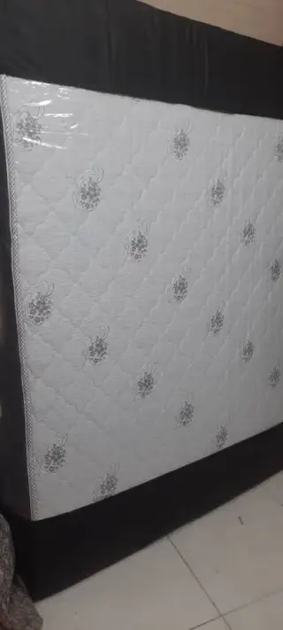 تولید وپخش تخت وتشک وست
