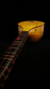 کارگاه تار و سه‌تار دیبا
