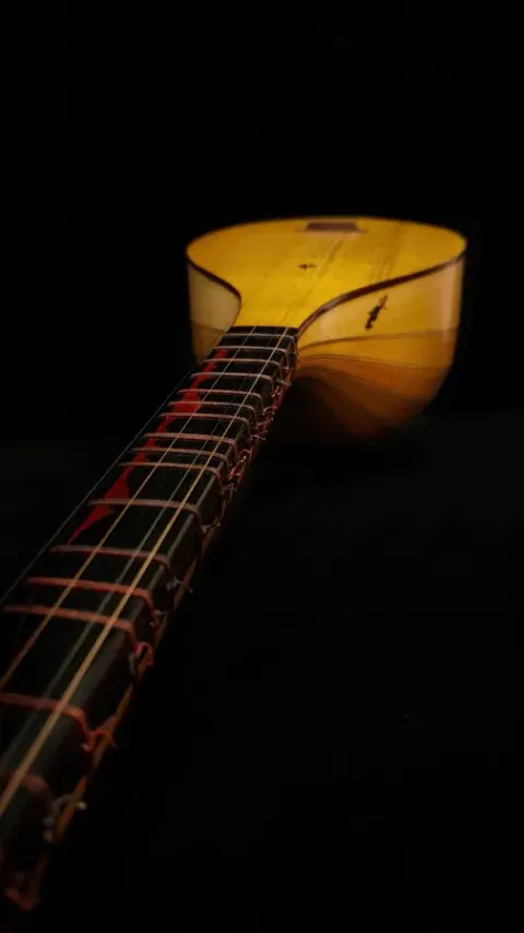 کارگاه تار و سه‌تار دیبا