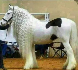نمایندگی بیمه ایران