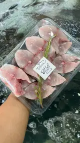 ماهی میلان