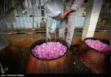 فروشگاه عطاری فتاحی
