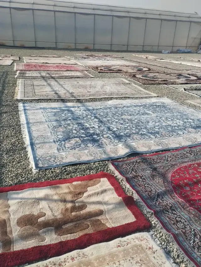 قالیشویی صنوبر