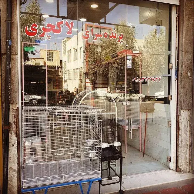 پرنده سرای لاکچری