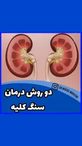 دکتر مائده محسنی