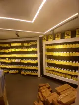 بودی کالا