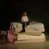 تشک برجیس