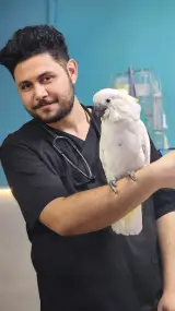 کلینیک تخصصی دامپزشکی لیام