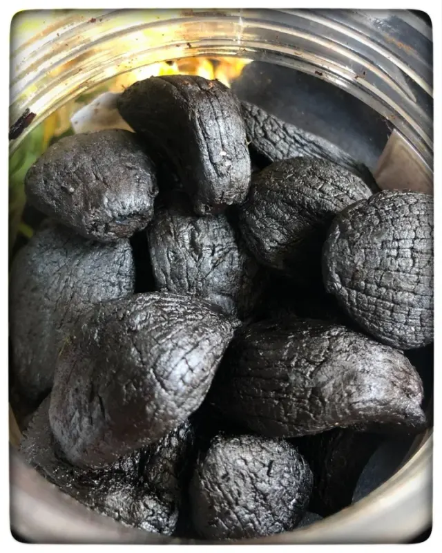 سیاه سیر