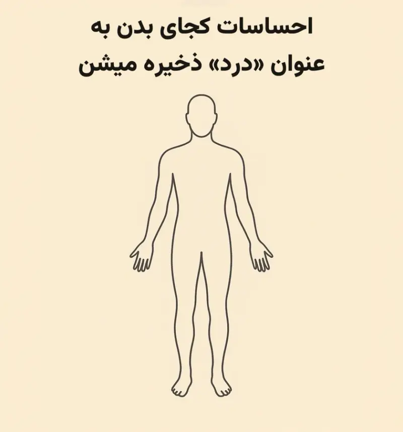طب سوزنی، طب سنتی، ماساژ،،حجامت ،و...