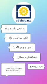 بیمه پاسارگاد (فلاح)