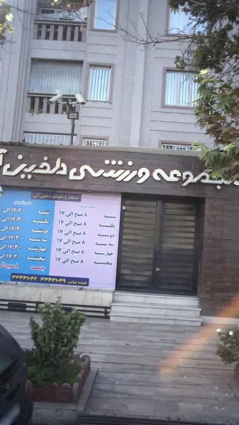 استخر دلفین آبی