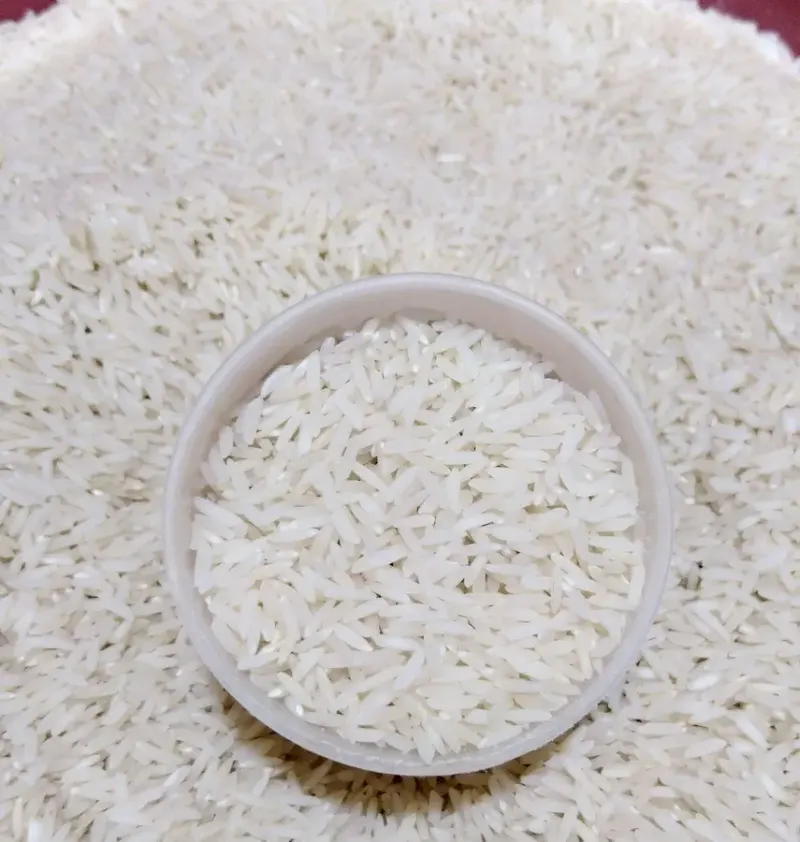 برنج طارم محلی پیروزخواه