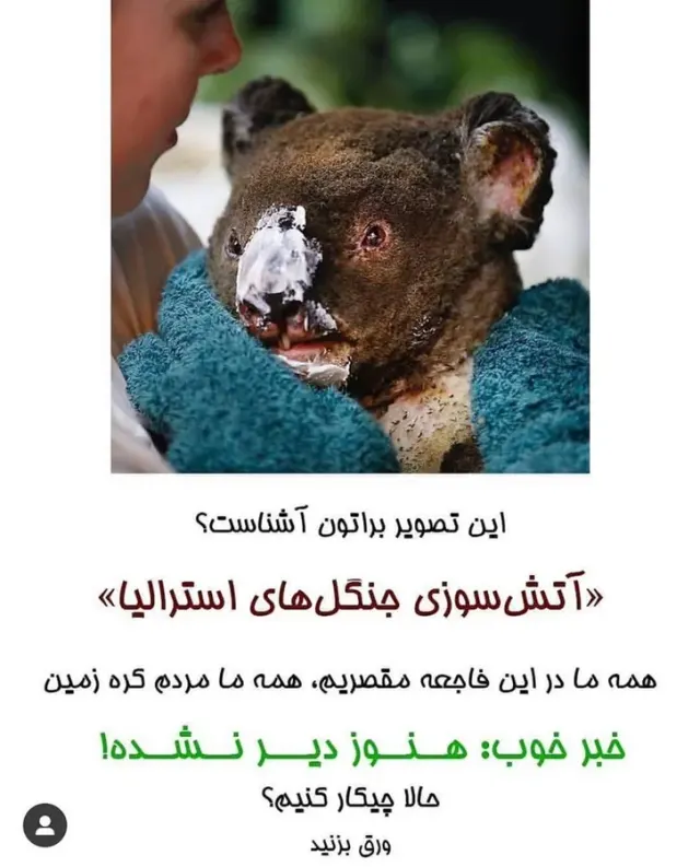 دکتر فرناز دهقان