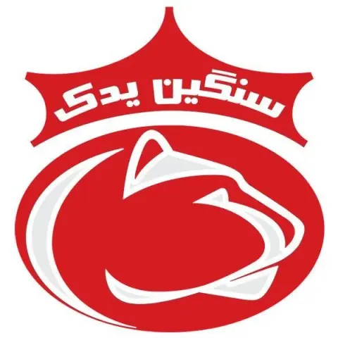 سنگین یدک