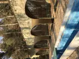 خیمه ایران نوین