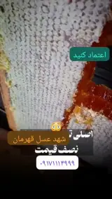 شهد عسل قهرمان