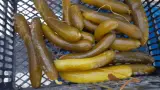 خیارشور