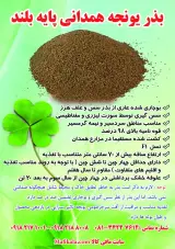 بذر یونجه همدانی