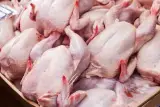 پخش وقطعه بندی مرغ میرزاپور