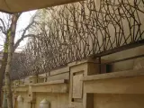 حفاظ شاخ گوزنی کاظم پور