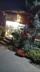 گل فروشی آتی ساز