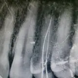 دکتر مهدی مومنی تیکدری